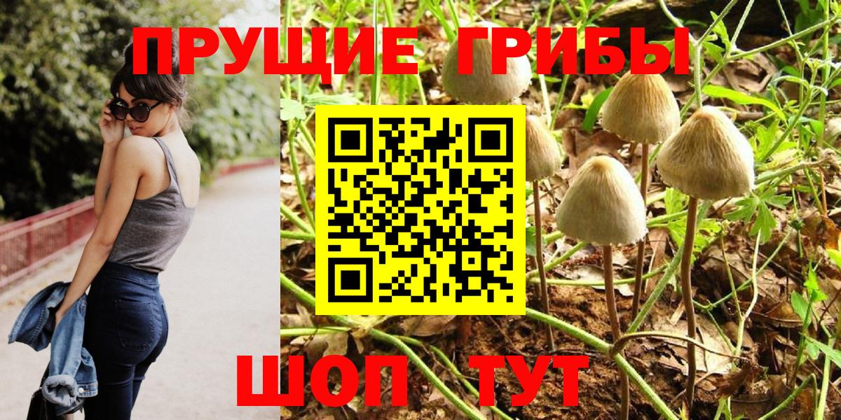 Галлюциногенные грибы MAGIC MUSHROOMS Малгобек